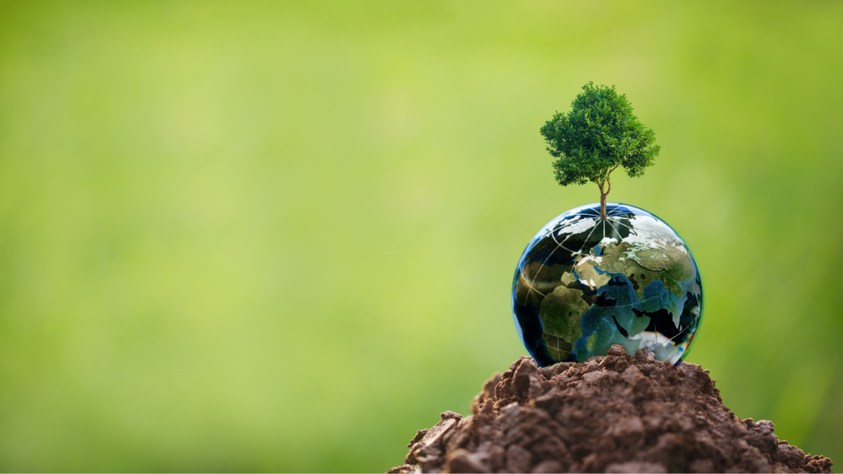 Companies (Corporate Social Responsibility Policy) Amendment Rules, 2026